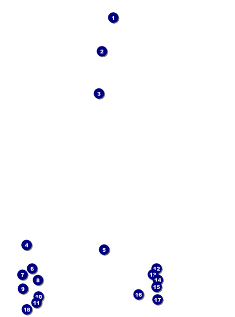 Ice Skating Flyer Front Field Markers