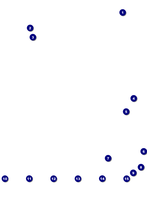 Birthday Party Logo Flyer Front Field Markers