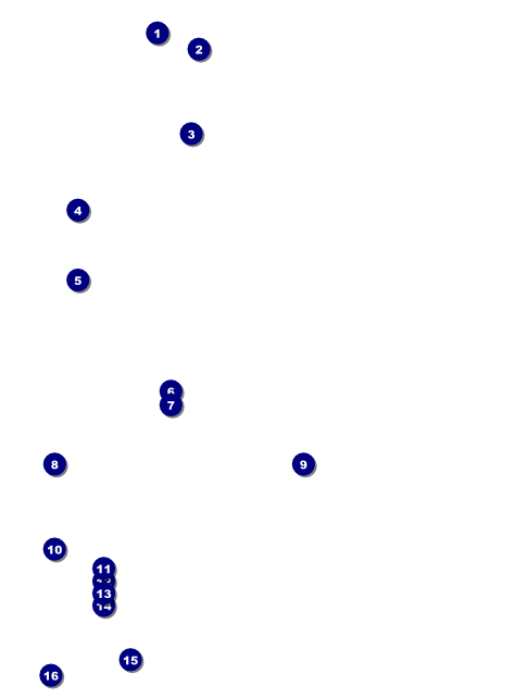 Crab Dinner Flyer Front Field Markers