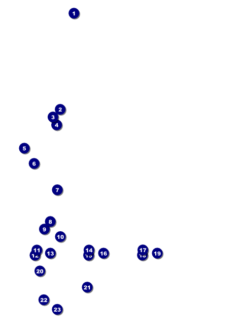 Cash Raffle Green Flyer Front Field Markers
