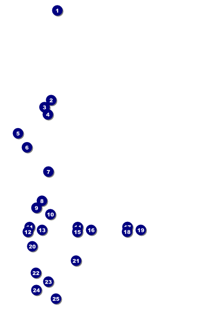 Cash Raffle Green Poster Front Field Markers