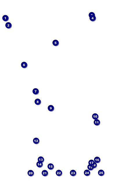 All Purpose Circle Logo Flyer Front Field Markers