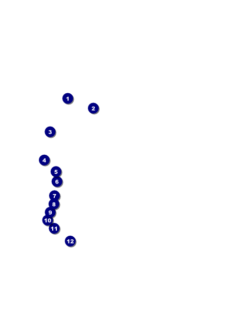 Fire and Ice Flyer Front Field Markers