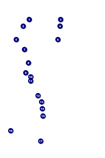 Roaring 20s Poster Front Field Markers