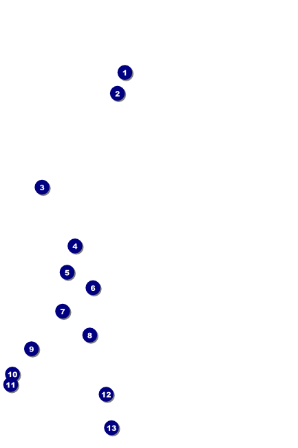 Flower Stag & Doe Poster Front Field Markers