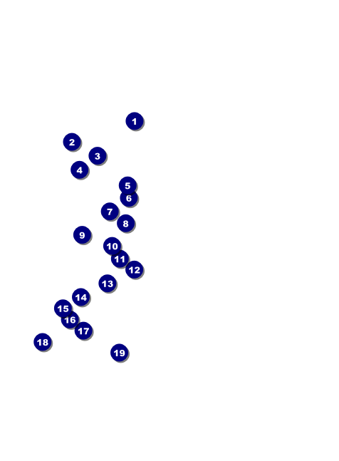 Techno Invitation Front Field Markers