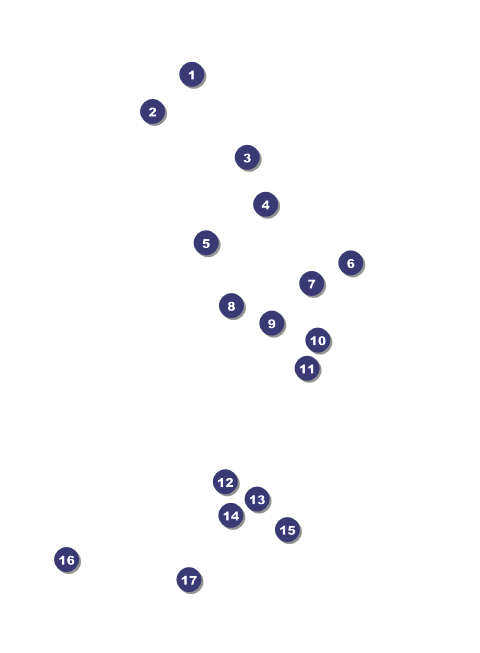 Stock Car Racing Invitation Front Field Markers