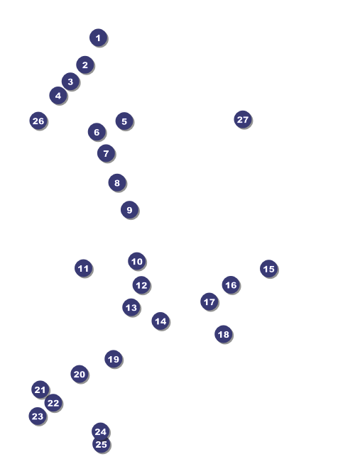 Wrestling Invitation (Black) Front Field Markers