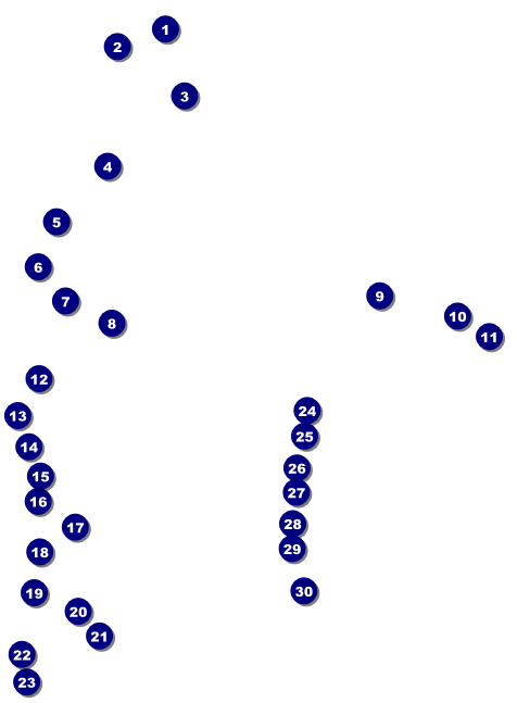 MMA Main Event Invitation (Blue) Front Field Markers