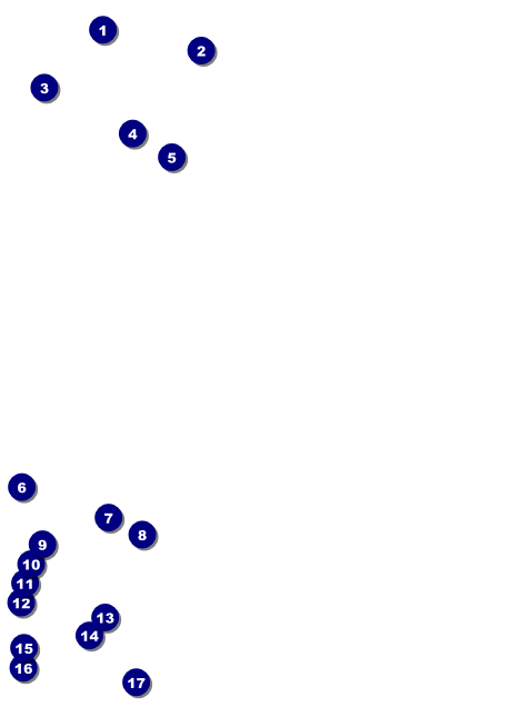 Ski Race Invitation Front Field Markers