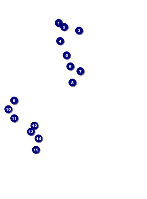 Day of the Dead Invitation Front Field Markers