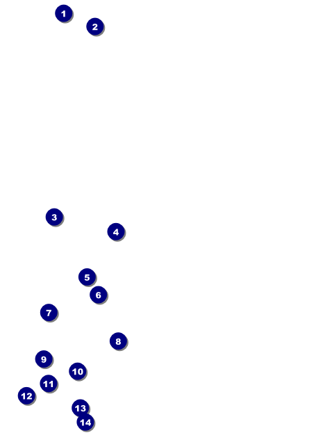 Renaissance Fair Armor Invitation Front Field Markers