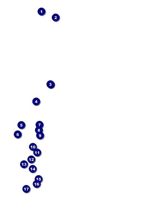 Lacrosse Invitation Front Field Markers