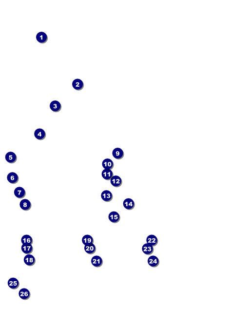 Astrology Invitation Front Field Markers
