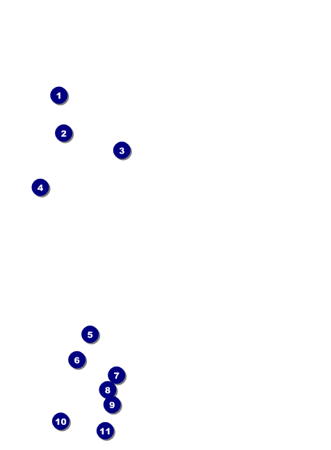 Pig Roast Invitation Front Field Markers