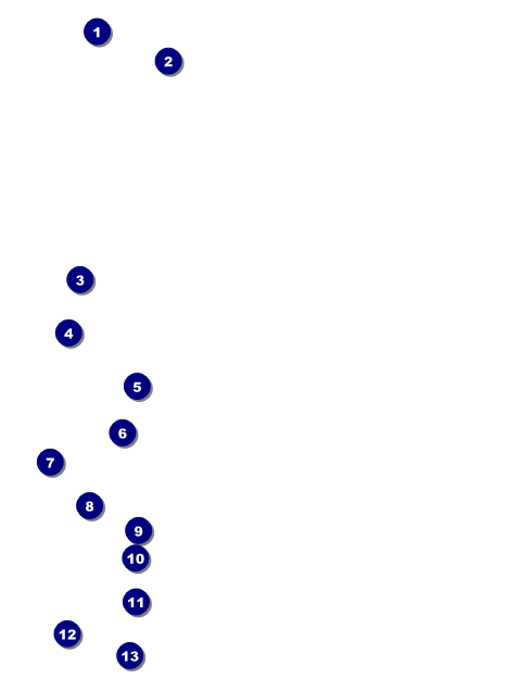 Midsummer Night's Dream Invitation Front Field Markers