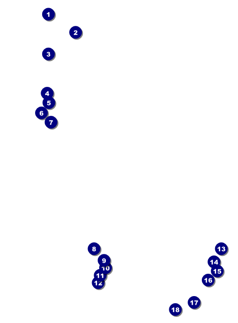 Dinosaur Illustrated Invitation Front Field Markers