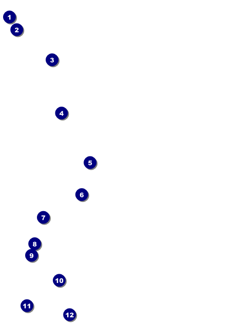 50th Anniversary Invitation Front Field Markers