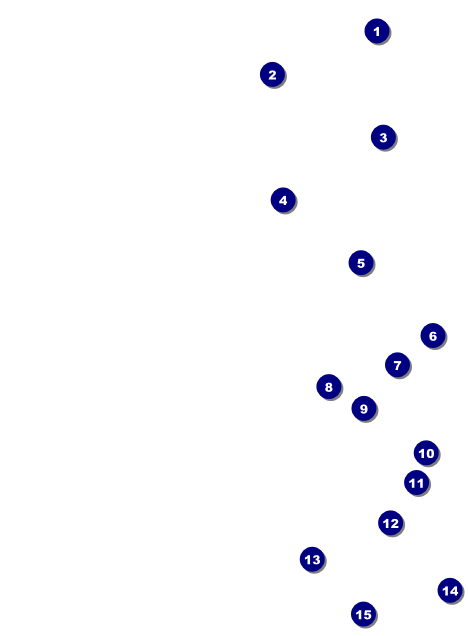 All Purpose Bright Invitation Front Field Markers