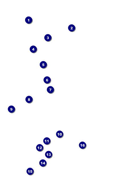 Casino Dealer Drink Ticket Front Field Markers