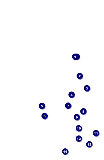 Lacrosse Drink Ticket Front Field Markers