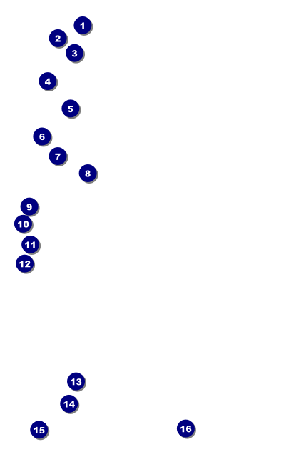 Cinderella Drink Ticket Front Field Markers