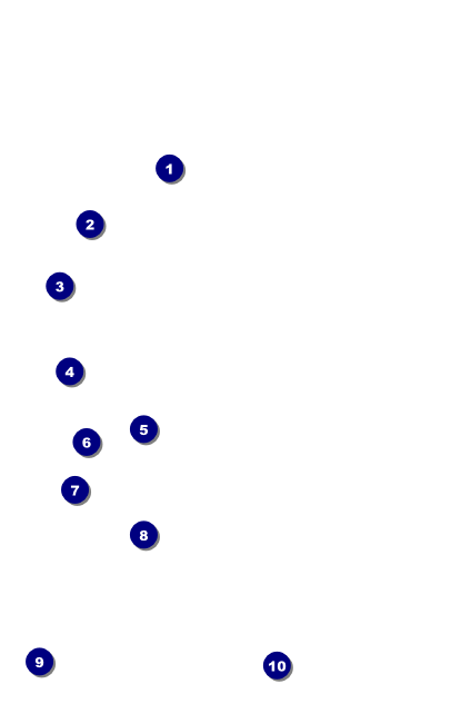 All Purpose Lights Drink Ticket Front Field Markers
