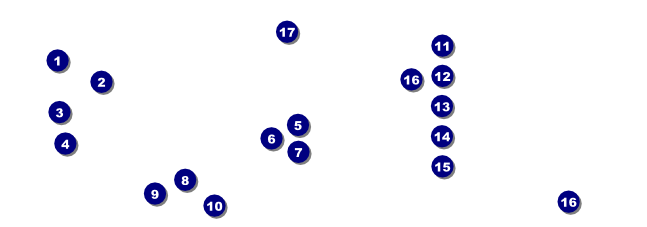Paris Pink and Black Raffle Ticket Front Field Markers