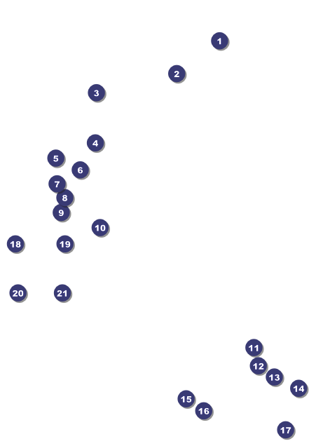 LGBT Pride Postcard Front Field Markers