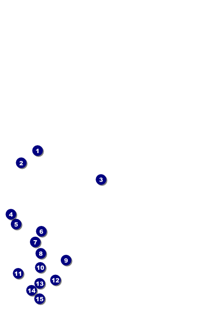 Bamboo Postcard Front Field Markers