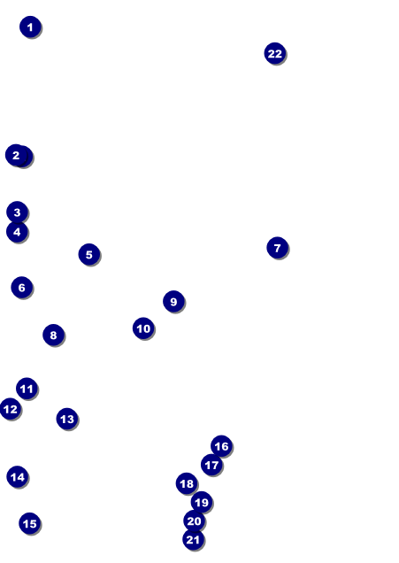 Roller Derby Passing Star Postcard Front Field Markers