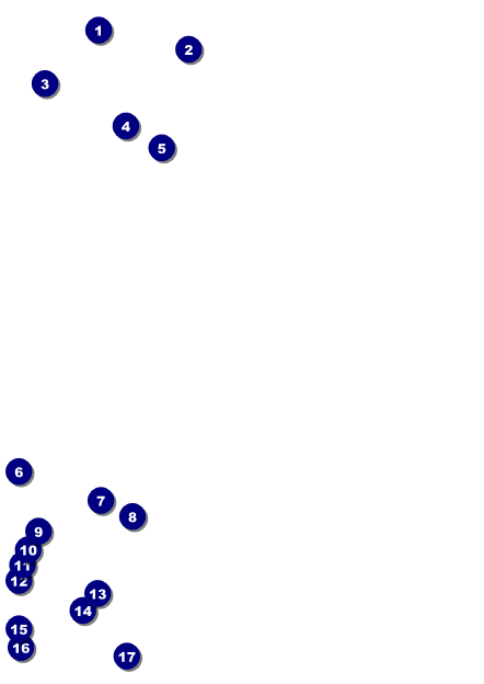 Ski Race Postcard Front Field Markers