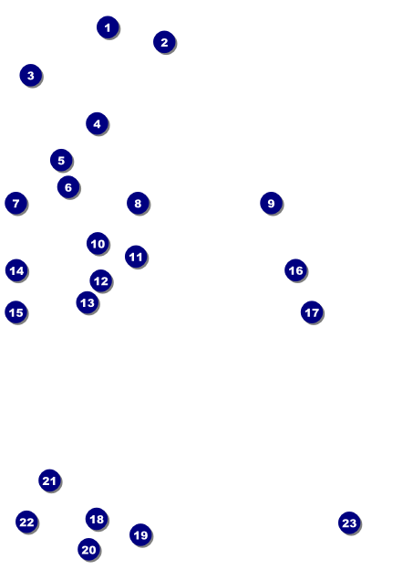 St. Patrick's Day Shamrock Postcard Front Field Markers