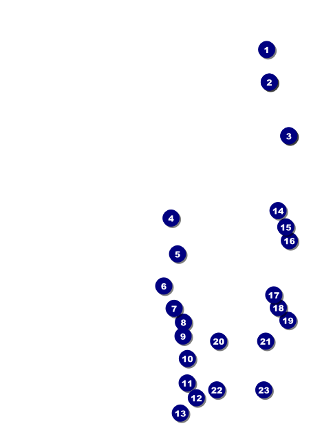 Disco Dance Postcard Front Field Markers