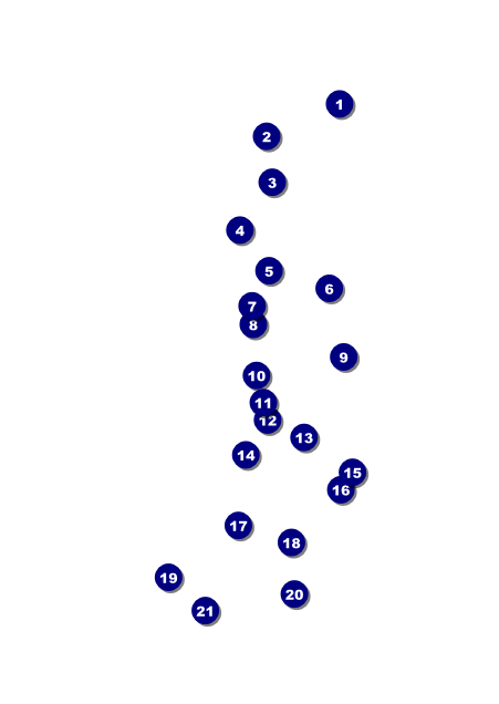 Cheerleading Spirit Postcard Front Field Markers