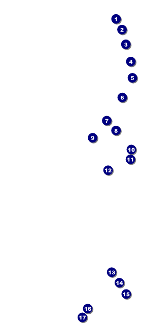 West Virginia VIP Pass Front Field Markers