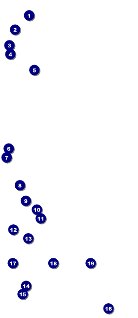 Hamilton VIP Pass Front Field Markers