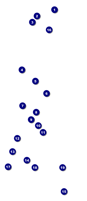 Autism Awareness VIP Front Field Markers