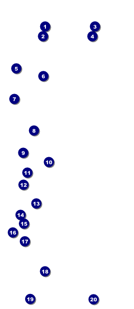 Car Racing VIP Pass Front Field Markers