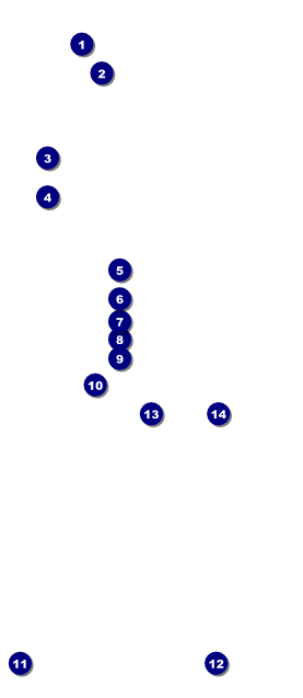 Martial Arts VIP Pass Front Field Markers