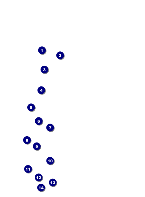 Home Improvement Invitation Front Field Markers