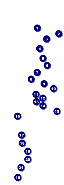 Chinese New Year 2014 Raffle Ticket Front Field Markers
