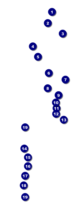 Stylish Rose Raffle Ticket Front Field Markers