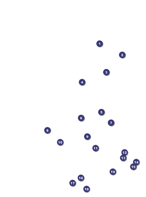 Fireworks Flyer Front Field Markers