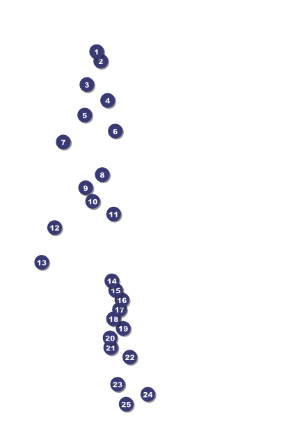 St. Patrick's Day Poster 002 Front Field Markers