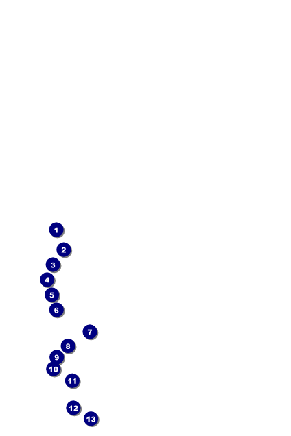 Snowflake Ornament Poster Front Field Markers