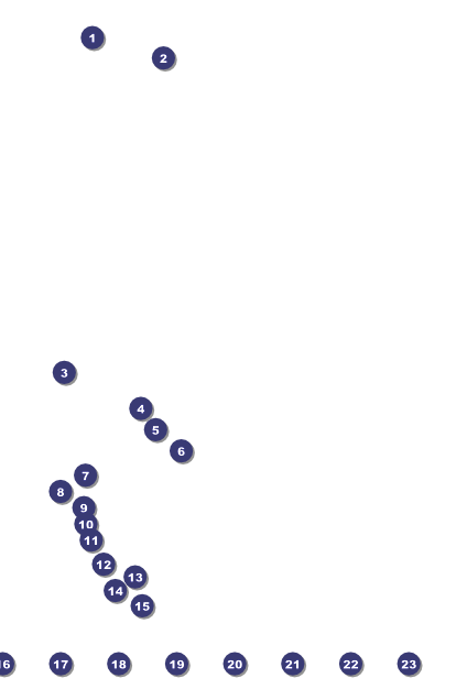 Skating Party Logo Poster Front Field Markers