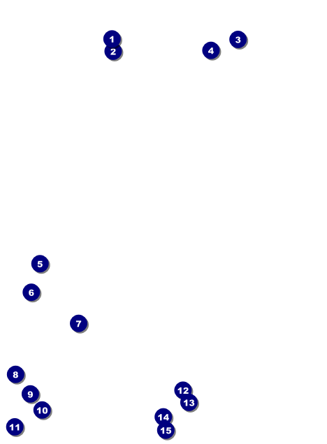 Medieval Banquet Invitation Front Field Markers