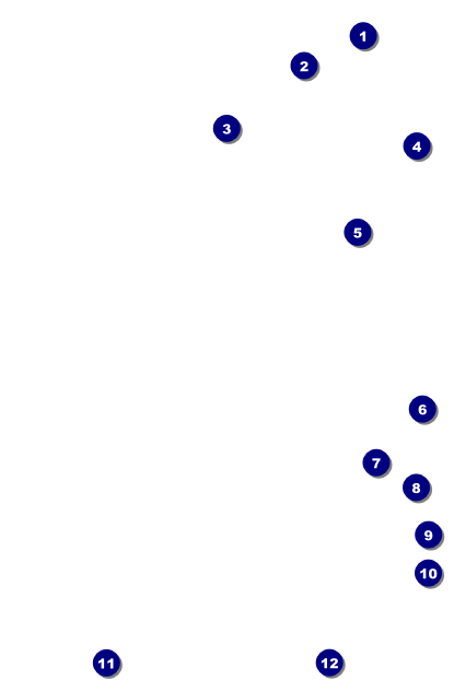 Soccer Ribbon Drink Ticket Front Field Markers