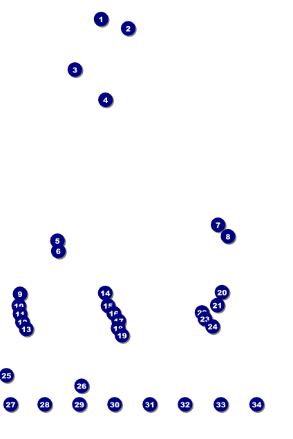 Magic Show Logo Poster Front Field Markers